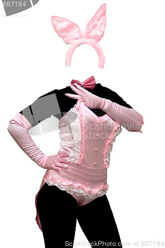 Image of Sexy bunny costume
