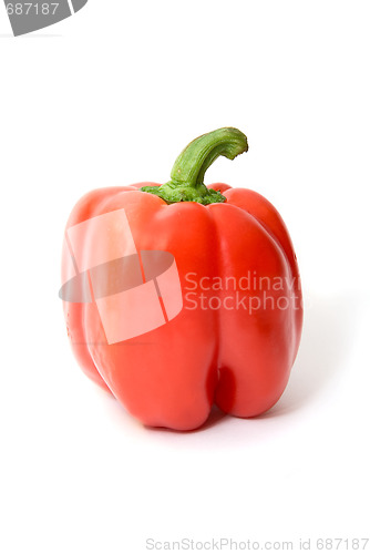 Image of Red pepper