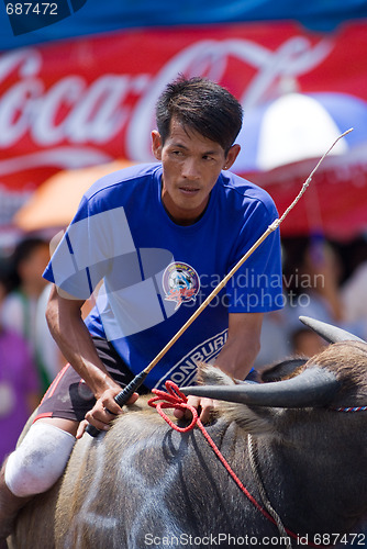 Image of Annual Buffalo Races in Chonburi 2009