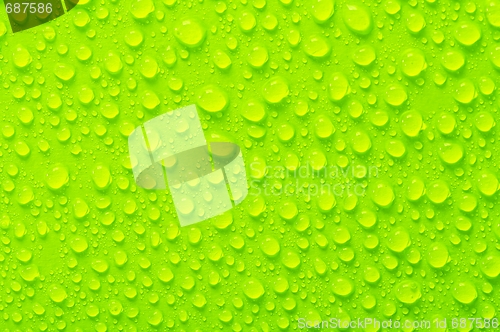 Image of Droplets