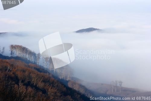 Image of Foggy