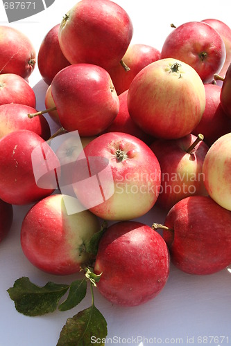 Image of James Grieves apples