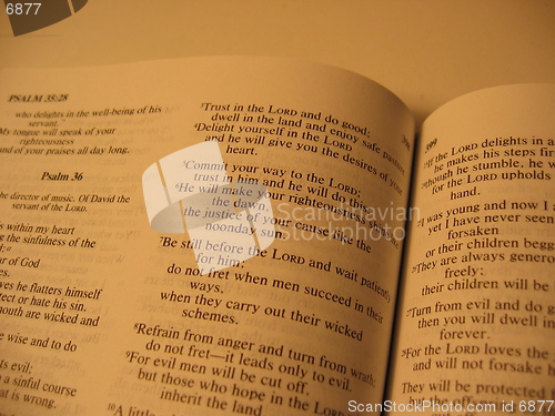 Image of Open bible