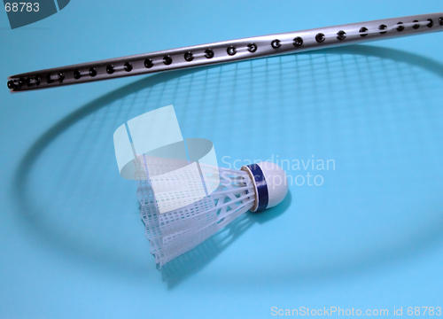 Image of Badminton