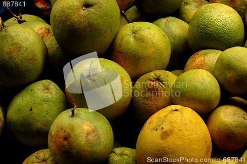 Image of GRAPEFRUIT