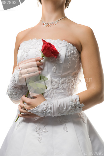 Image of bride with  rose