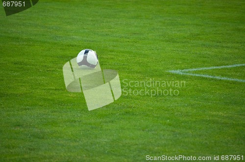 Image of Black and white football in green grass