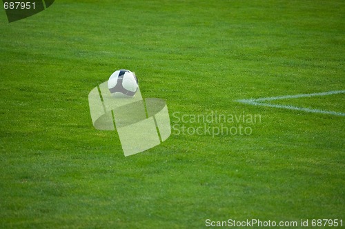 Image of Black and white football in green grass