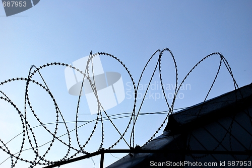 Image of Barbed Wire