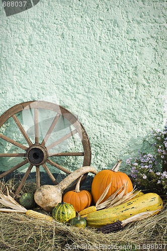 Image of Pumpkins