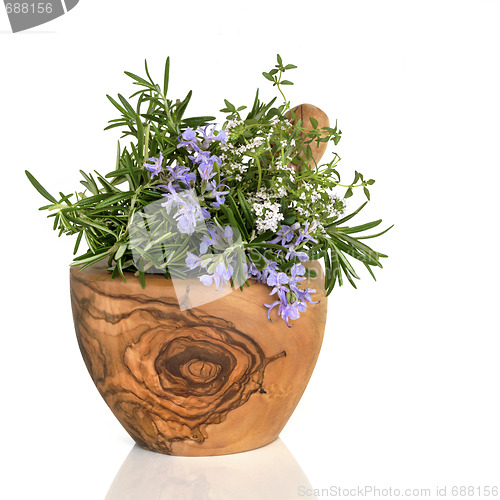 Image of Rosemary and Thyme Herbs