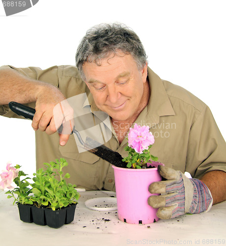 Image of Nurseryman Plants Seedlings