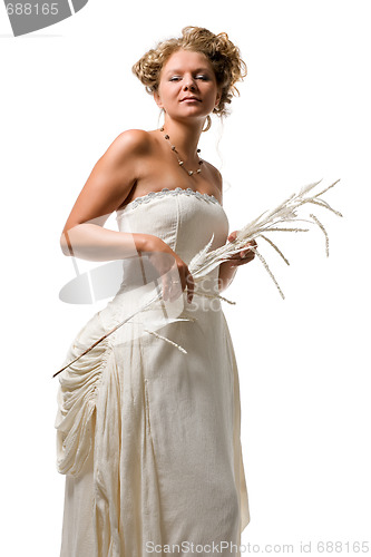 Image of Beautiful bride