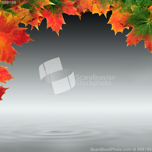 Image of Maple Leaf Abstract Design