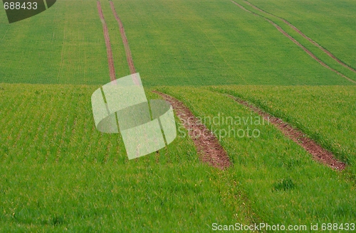 Image of Field