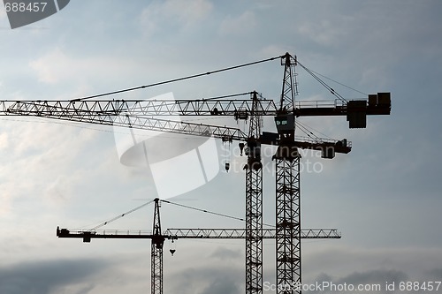 Image of Cranes