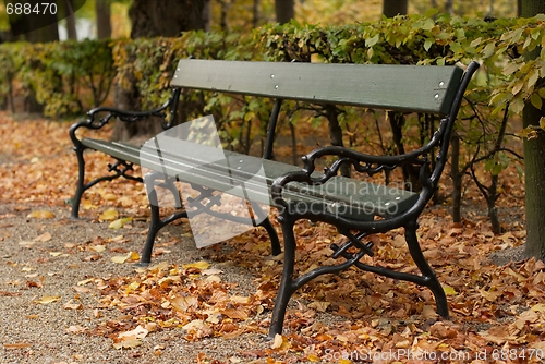 Image of Bench