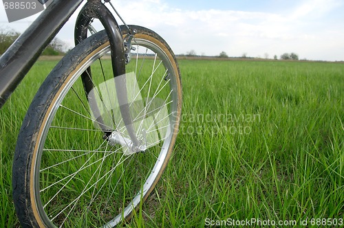 Image of Bicycle