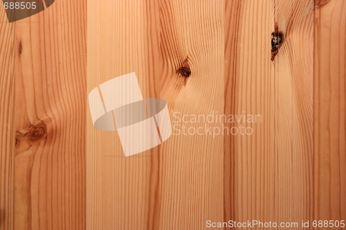 Image of Wood Texture