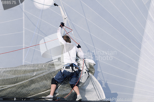 Image of Sailing