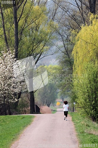 Image of Jogging in a Park