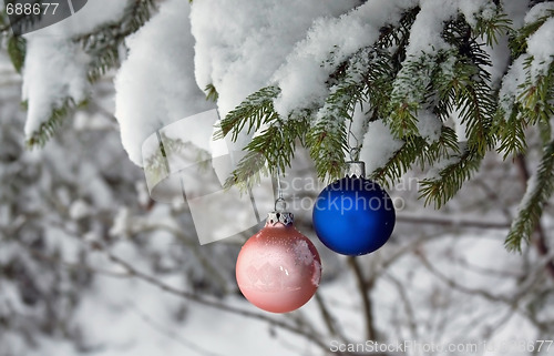 Image of Christmas Tree Ball