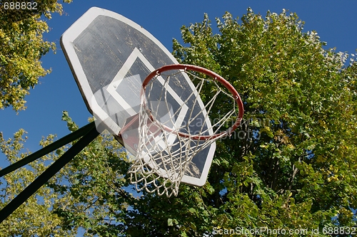 Image of Basketball