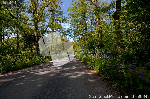 Image of country road