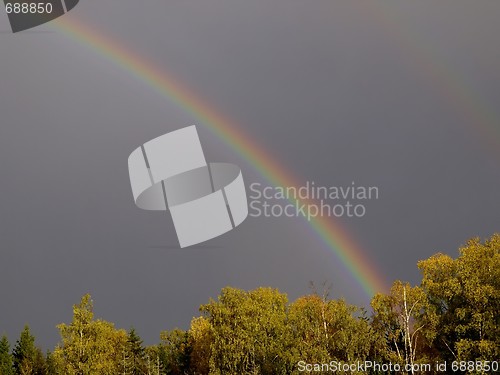 Image of Rainbow 