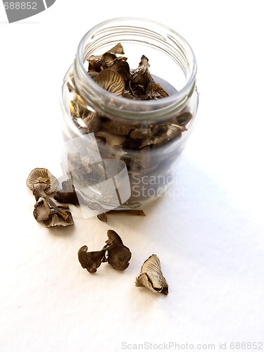 Image of Dried Mushrooms