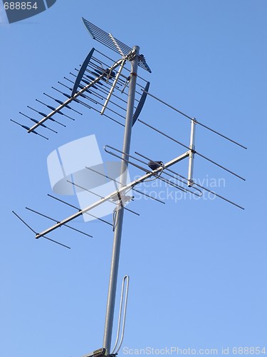 Image of Antenna