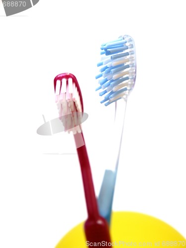 Image of Toothbrushes