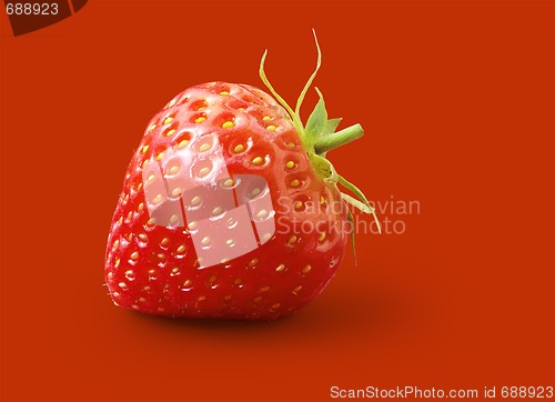 Image of Strawberry