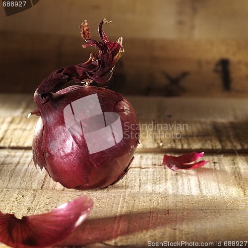 Image of red onion