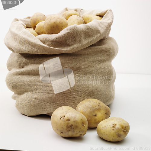 Image of overflowing bag of potatos on whit