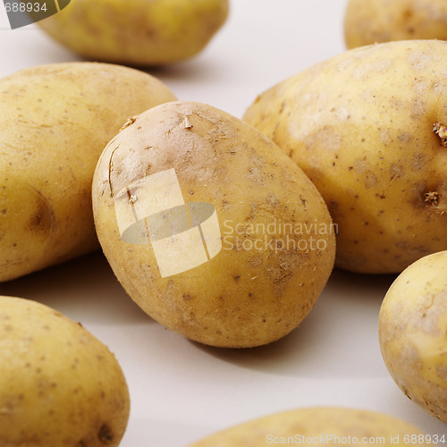 Image of potatos on whit