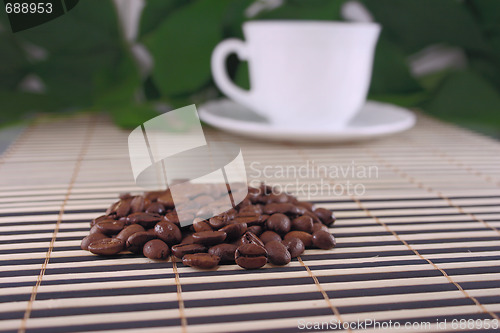 Image of Coffee kind