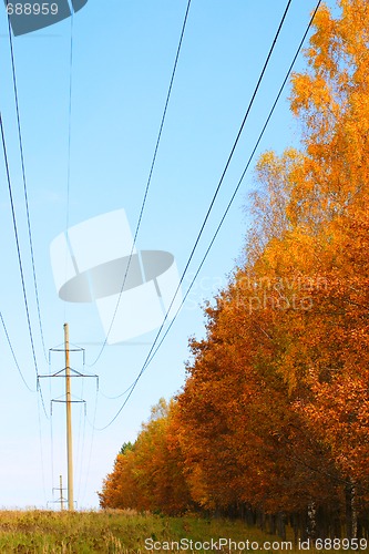 Image of Autumn energy