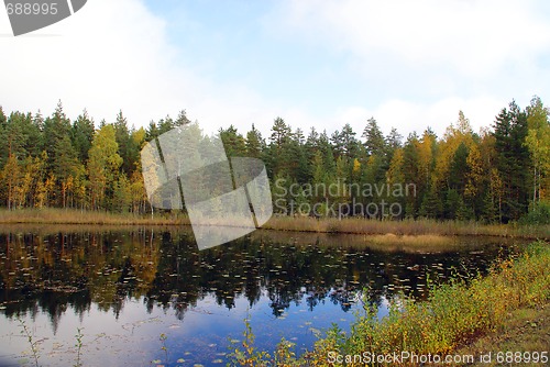 Image of Autumn Colors On Rural Lake In Finland