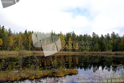 Image of Autumn Colors On Calm Marshland Lake