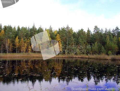 Image of Autumn Lake In Finland