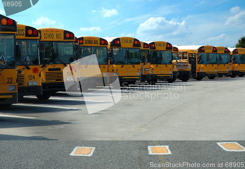 Image of School Buses Parked