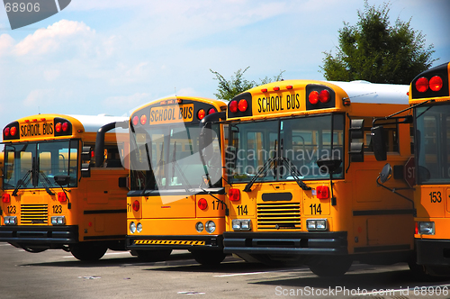 Image of School Buses