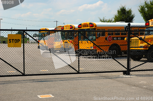 Image of School Bus Parking Lot