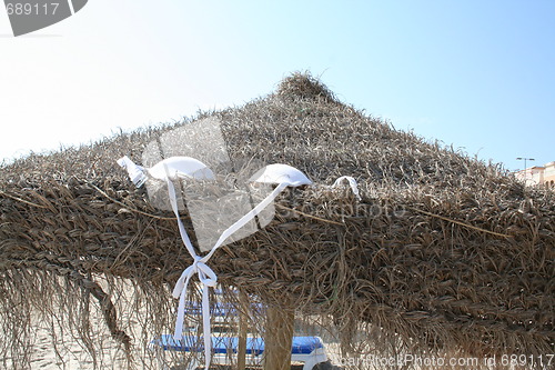 Image of Parasol by beach