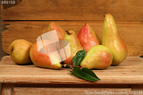 Image of Autumn fruit