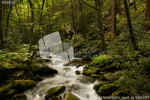 Image of Great Smoky Mountains national park