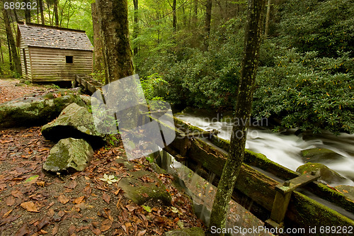 Image of Great Smoky Mountains national park
