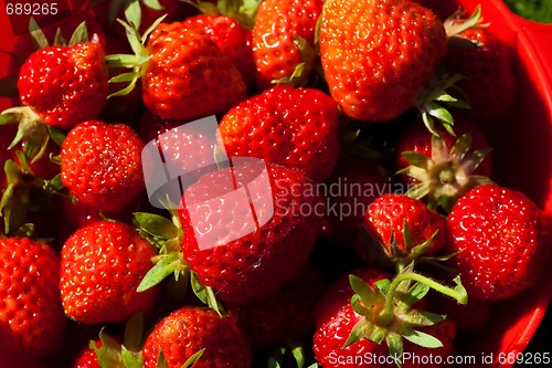 Image of strawberries