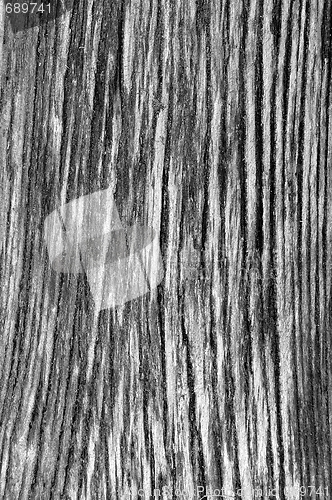 Image of Wood